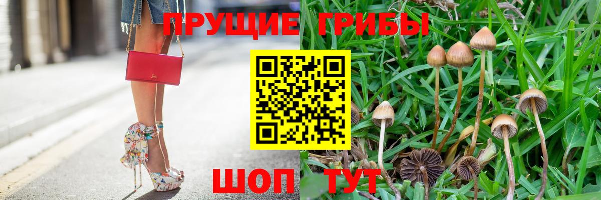 Псилоцибиновые грибы MAGIC MUSHROOMS  Вход с VPN  Одинцово 